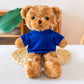 Coloured Sweater Teddy Bear Plush Toy
