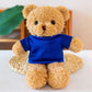 Coloured Sweater Teddy Bear Plush Toy