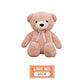 80/100CM Large Plush Bear Toy