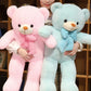 New Large Size Blue Teddy Bear Plush Toy