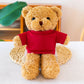Coloured Sweater Teddy Bear Plush Toy