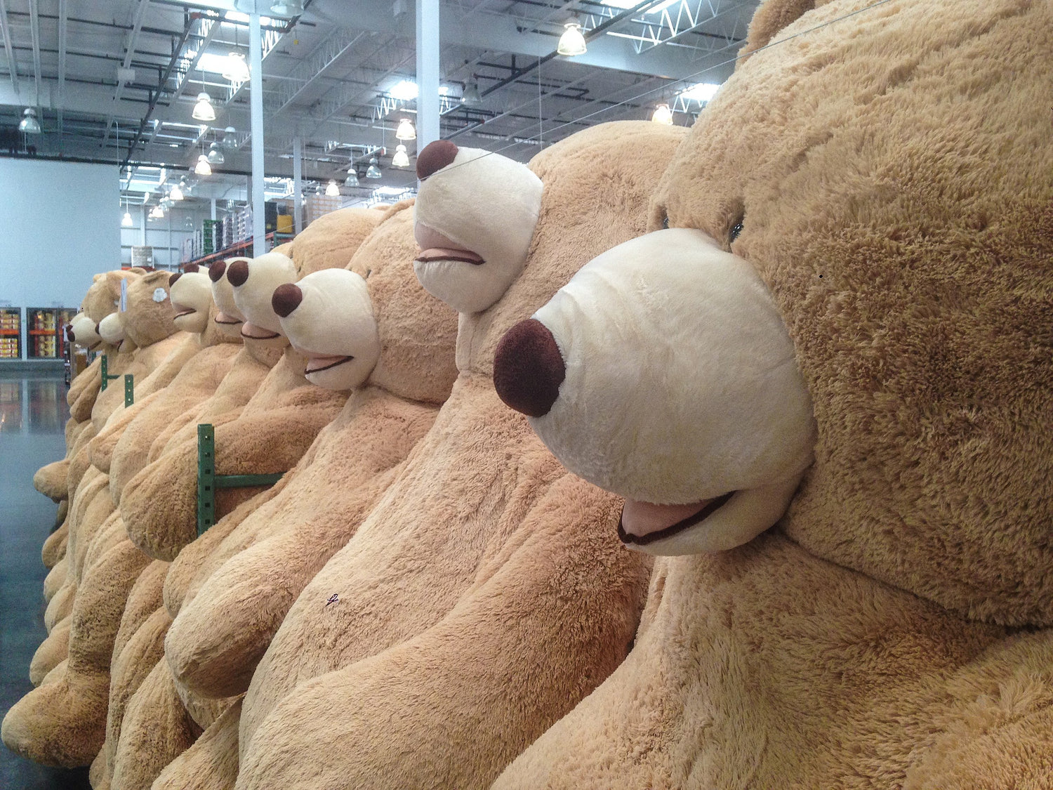 Large teddy bear plush toys displayed in a collection
