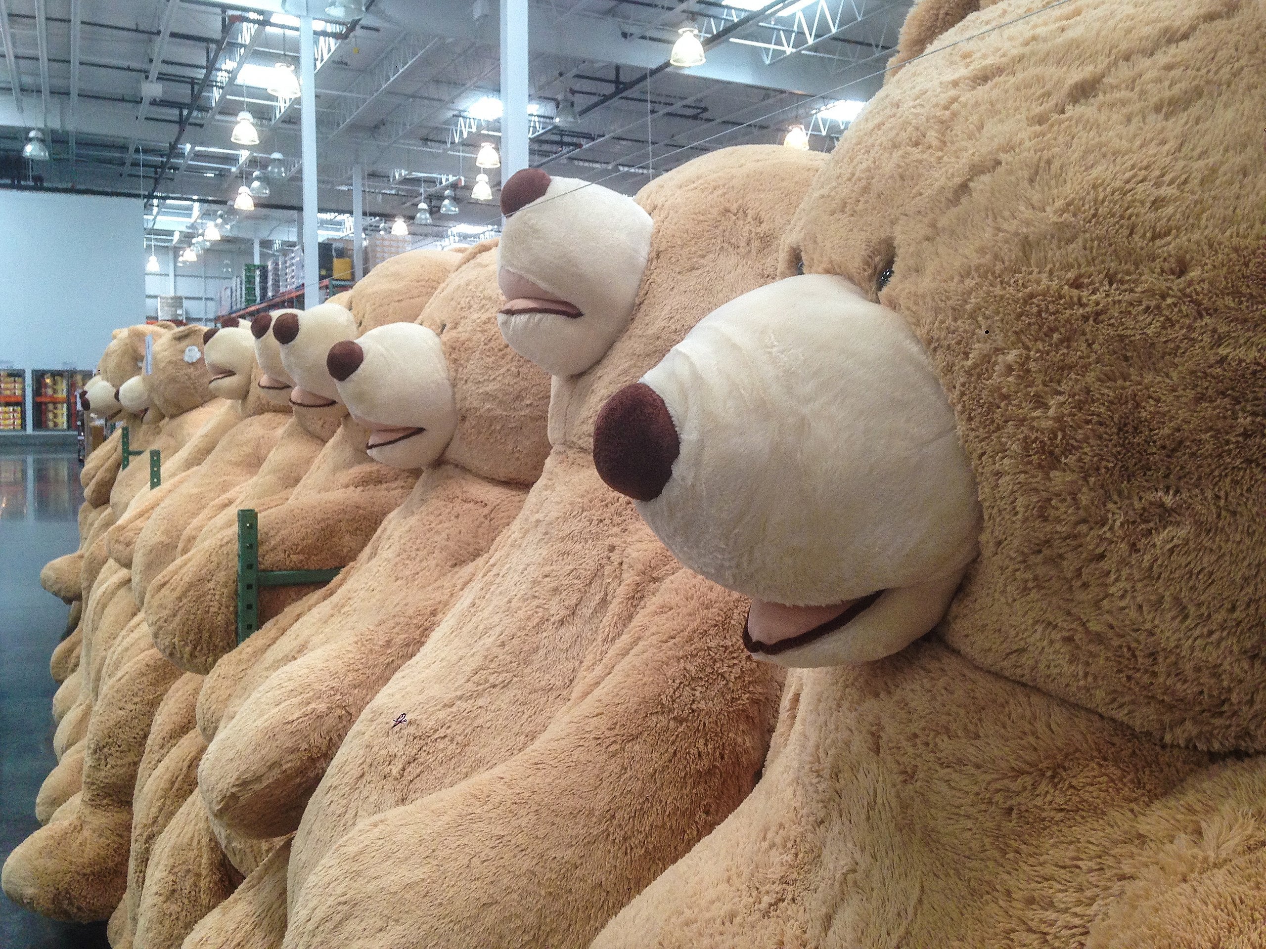 Large teddy bear plush toys displayed in a collection