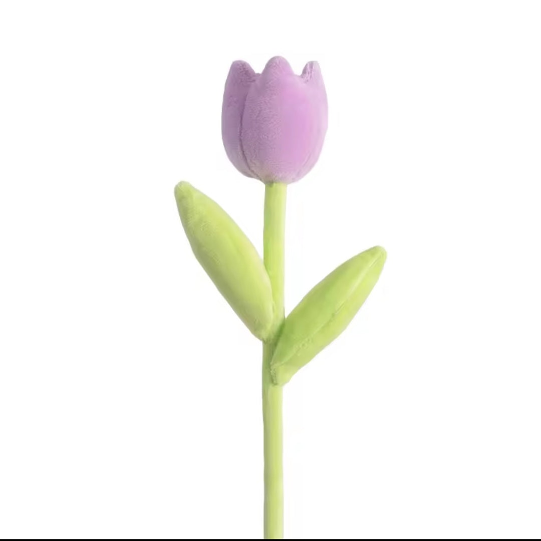 Spring Colourful Flower Plush Plants