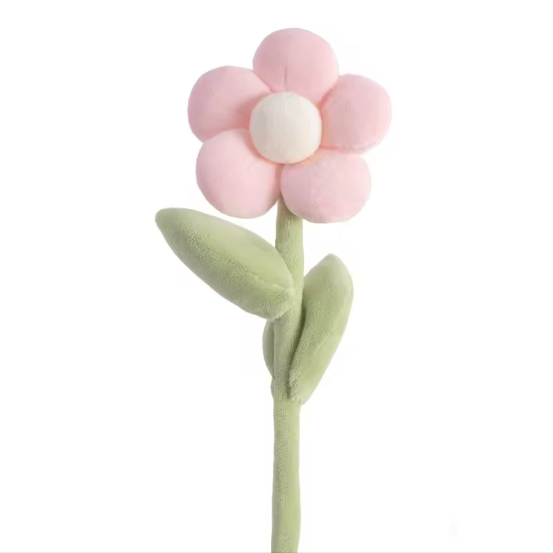 Spring Colourful Flower Plush Plants