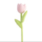 Spring Colourful Flower Plush Plants