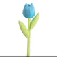 Spring Colourful Flower Plush Plants