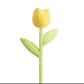 Spring Colourful Flower Plush Plants