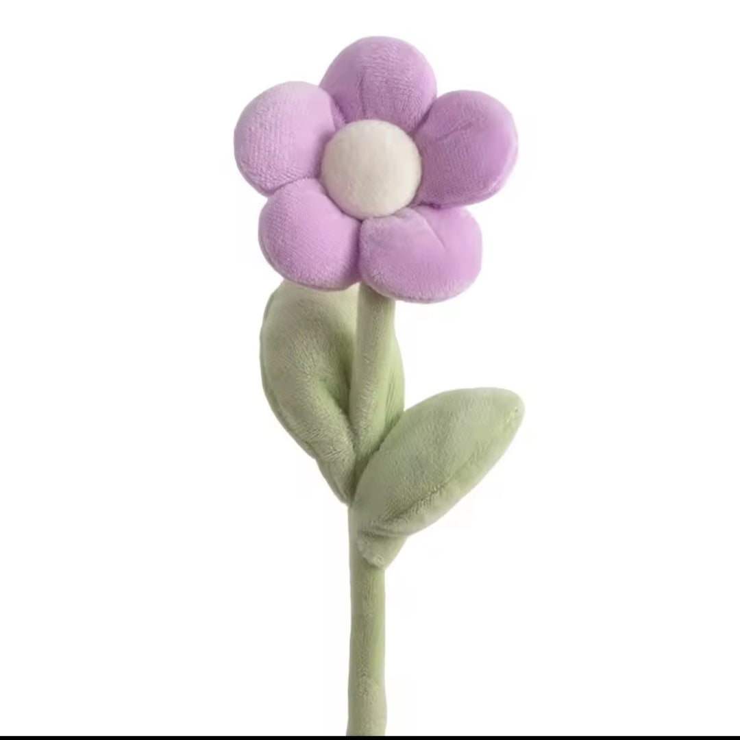 Spring Colourful Flower Plush Plants
