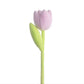 Spring Colourful Flower Plush Plants