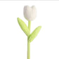 Spring Colourful Flower Plush Plants
