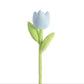 Spring Colourful Flower Plush Plants