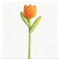 Spring Colourful Flower Plush Plants