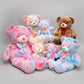 Teddy bear plush toy family collection featuring pastel pink blue rainbow and brown stuffed bears in multiple sizes